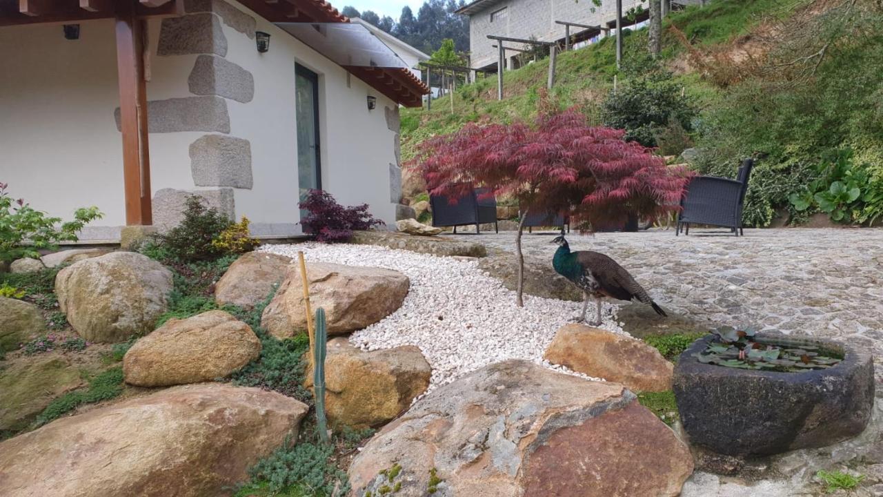 Quinta Da Vinha Do Souto Villa Arouca Exteriör bild