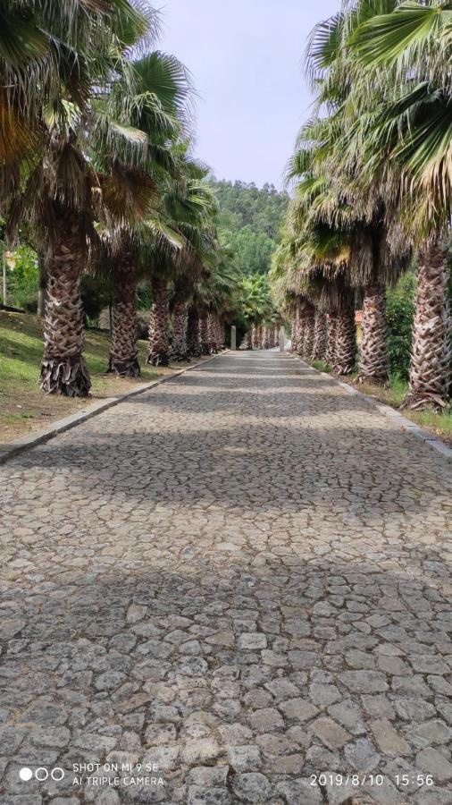 Quinta Da Vinha Do Souto Villa Arouca Exteriör bild