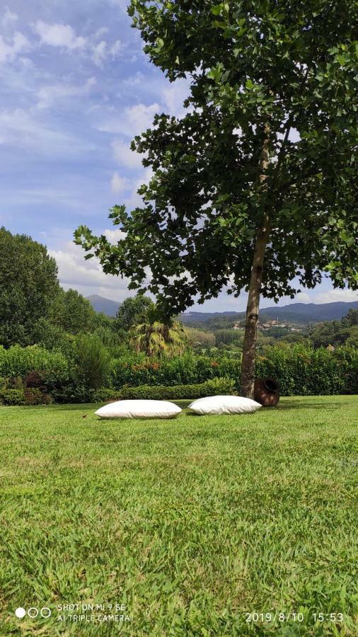 Quinta Da Vinha Do Souto Villa Arouca Exteriör bild